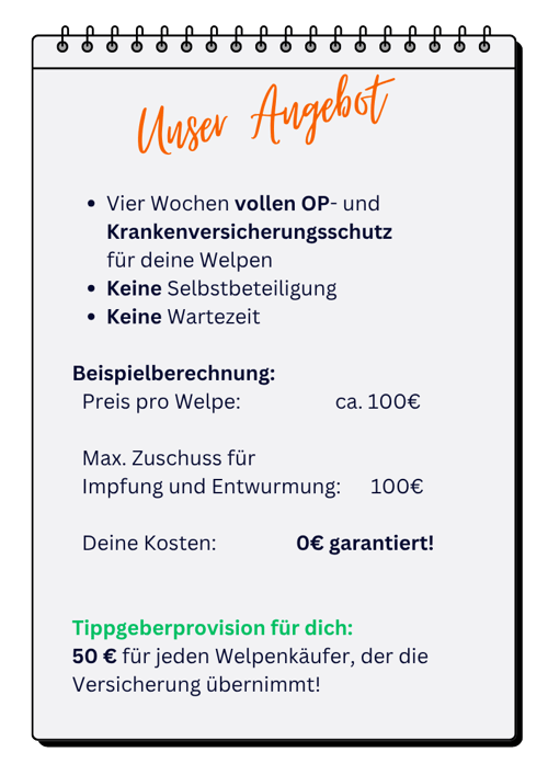 JRV Züchter Unser Angebot v5 JRV Züchter Unser Angebot v5