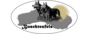 Logo_Buschteufels